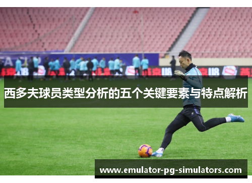西多夫球员类型分析的五个关键要素与特点解析