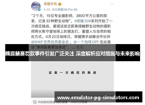 魏震禁赛罚款事件引发广泛关注 深度解析应对措施与未来影响