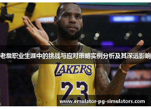 老詹职业生涯中的挑战与应对策略实例分析及其深远影响