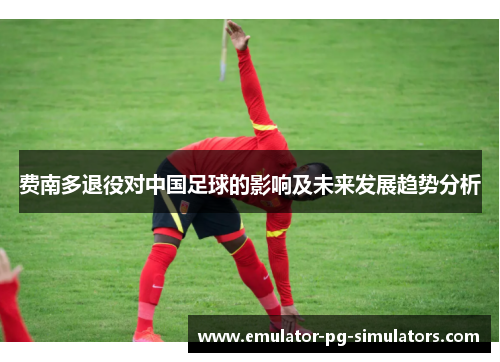 费南多退役对中国足球的影响及未来发展趋势分析
