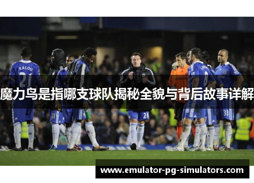 魔力鸟是指哪支球队揭秘全貌与背后故事详解